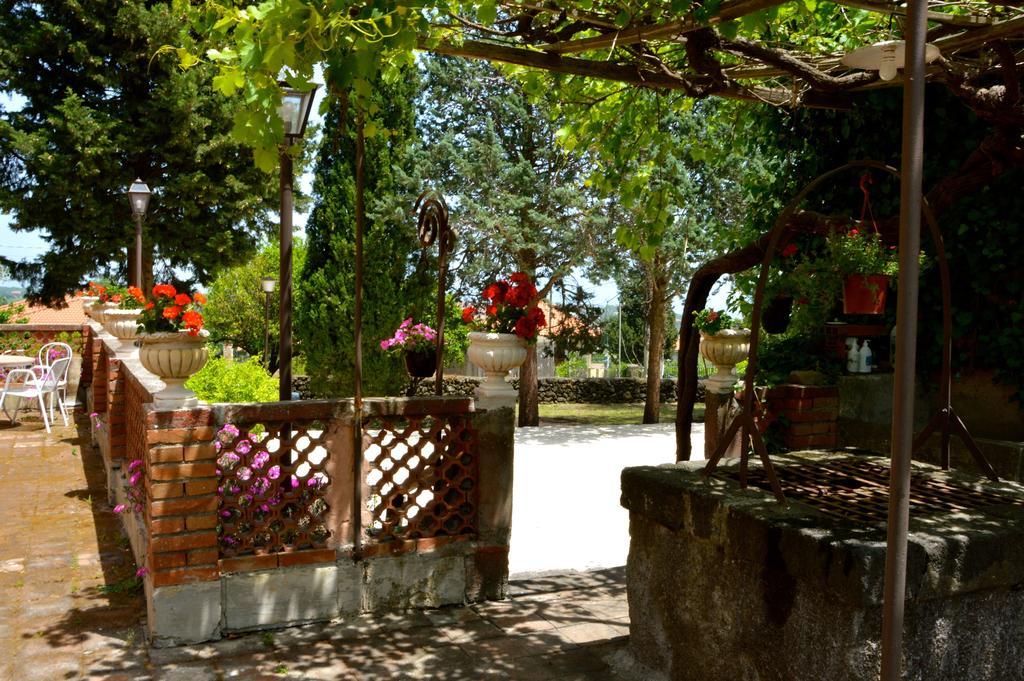 Villa Bonaccorso - Antica E Maestosa Villa Con Piscina Ai Piedi Dell'Etna Viagrande Luaran gambar