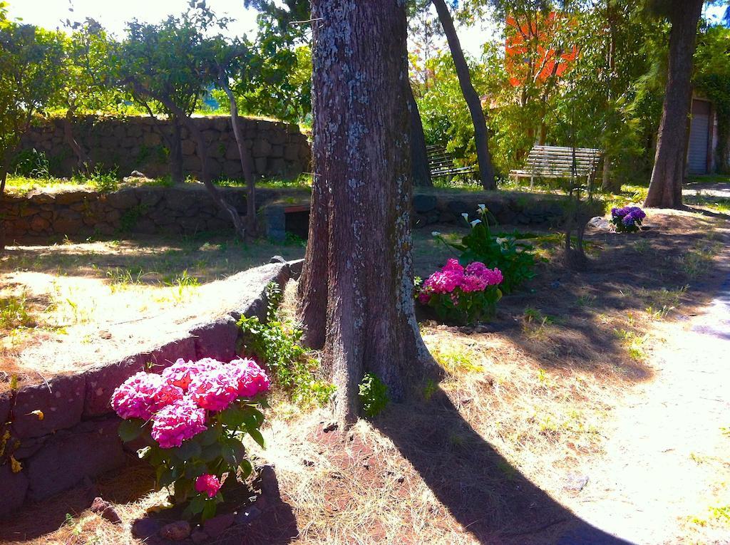 Villa Bonaccorso - Antica E Maestosa Villa Con Piscina Ai Piedi Dell'Etna Viagrande Luaran gambar