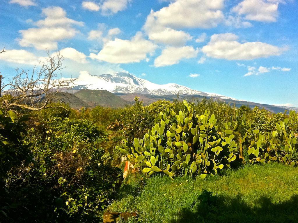 Villa Bonaccorso - Antica E Maestosa Villa Con Piscina Ai Piedi Dell'Etna Viagrande Luaran gambar