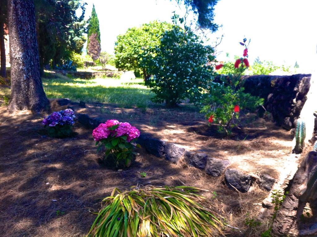 Villa Bonaccorso - Antica E Maestosa Villa Con Piscina Ai Piedi Dell'Etna Viagrande Luaran gambar