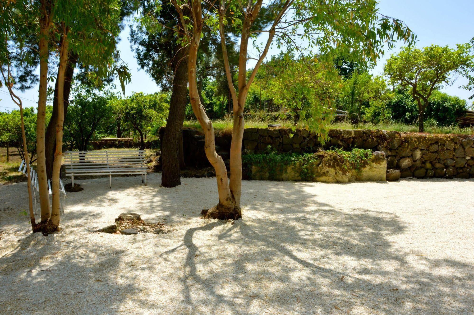 Villa Bonaccorso - Antica E Maestosa Villa Con Piscina Ai Piedi Dell'Etna Viagrande Luaran gambar